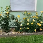 Residenz Antonius - Stilvolles Wohnen In Der Bodenseeregion Lauterach