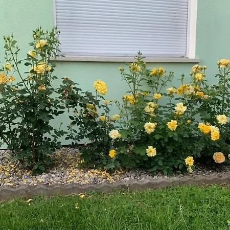 Residenz Antonius - Stilvolles Wohnen In Der Bodenseeregion 라우테라흐