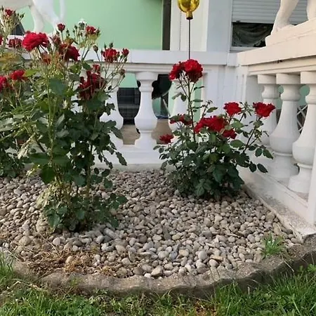 Residenz Antonius - Stilvolles Wohnen In Der Bodenseeregion