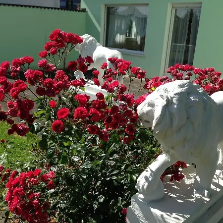 Residenz Antonius - Stilvolles Wohnen In Der Bodenseeregion *