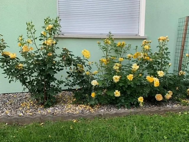 Residenz Antonius - Stilvolles Wohnen In Der Bodenseeregion Lauterach