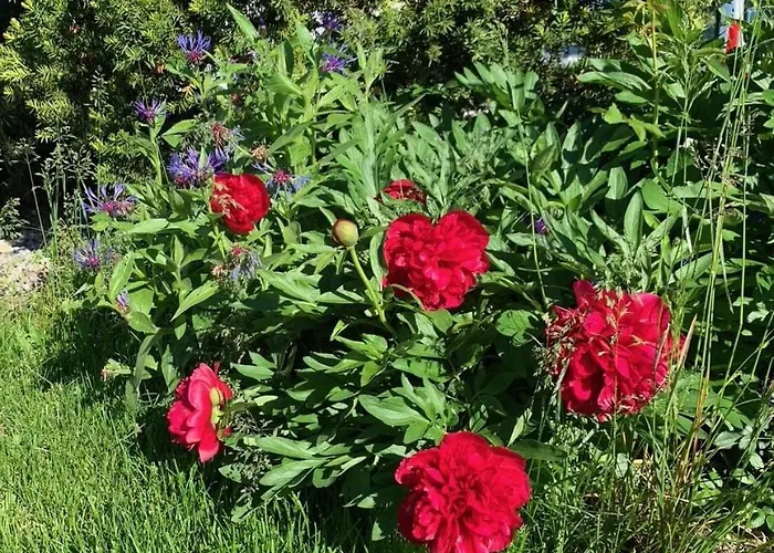 Residenz Antonius - Stilvolles Wohnen In Der Bodenseeregion *